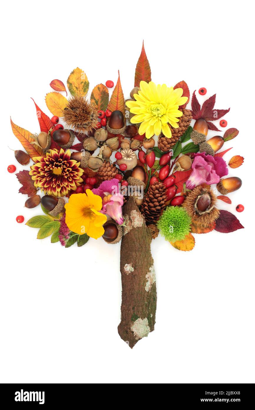 Surreale autunno e giorno del Ringraziamento composizione di fiori e foglie. Astratto design autunnale con colori vivaci rosso, arancione, viola e giallo. Foto Stock