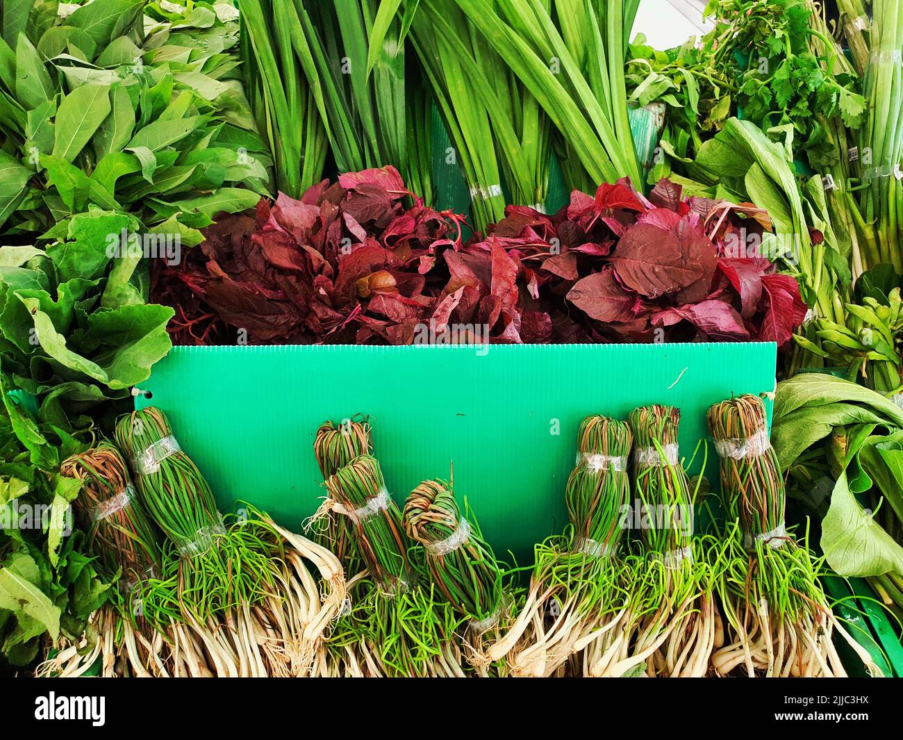 Spinaci rossi, scallioni, e altre verdure verdi ben disposti in verde e rosso nel mercato con angolo anteriore Foto Stock