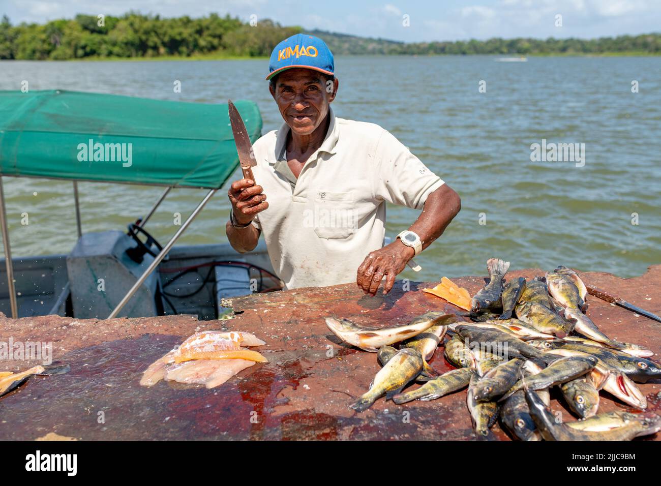 Pescatore eviscerazione e filetti di pesce appena pescato a Panama Foto Stock