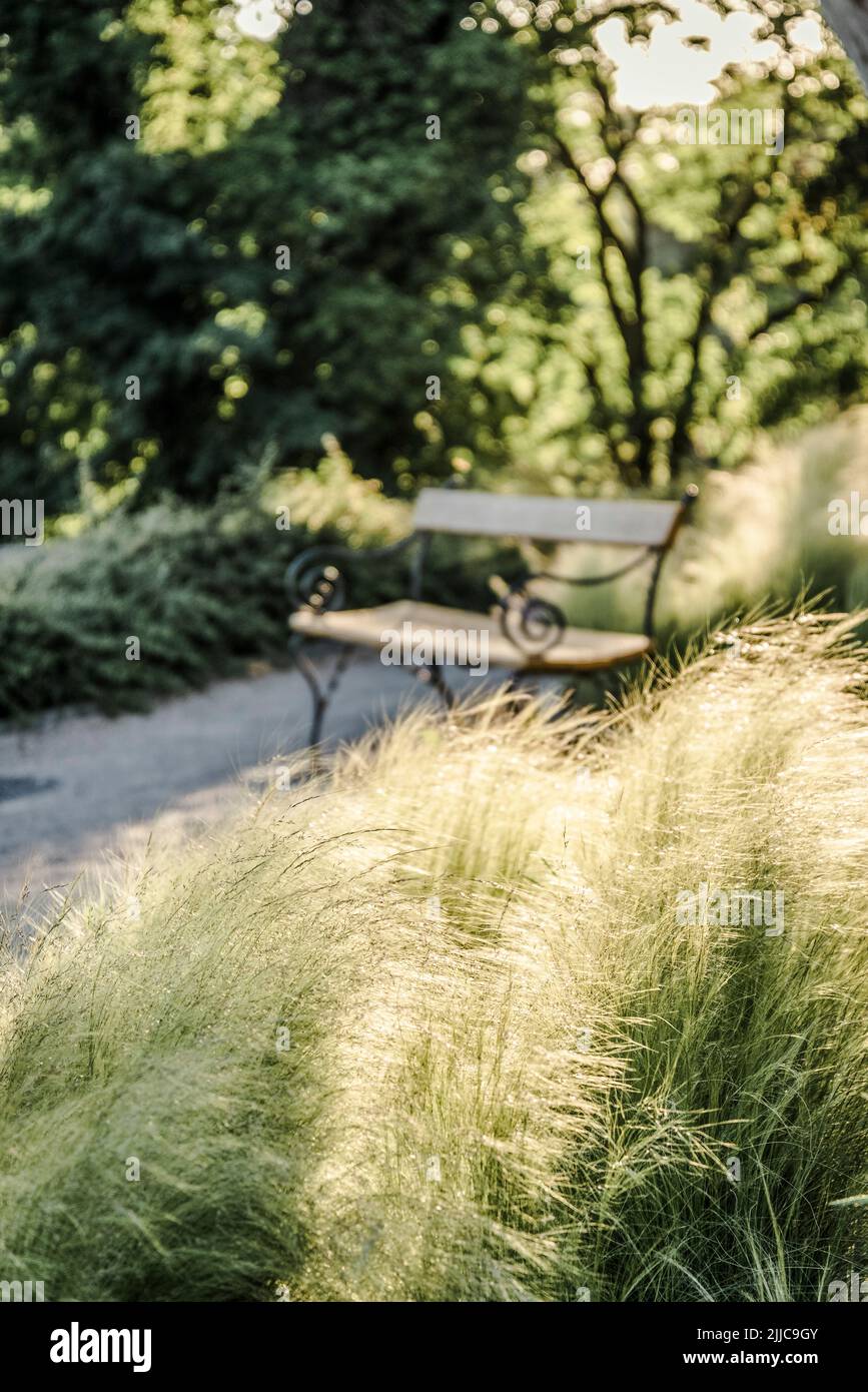 Panca e erba estiva Foto Stock