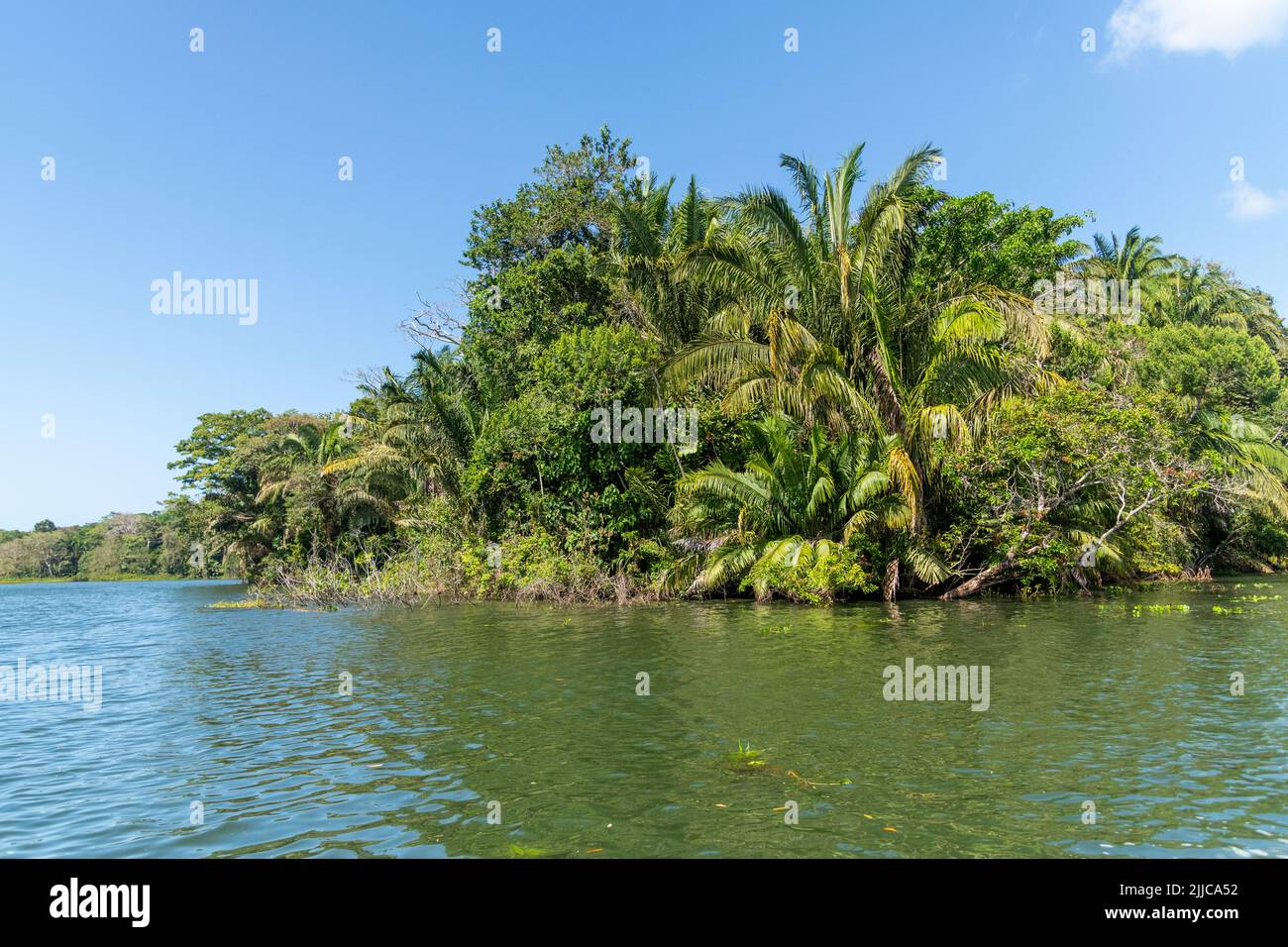 Le isole dell'isola delle scimmie nel canale di Panama a Panama Foto Stock