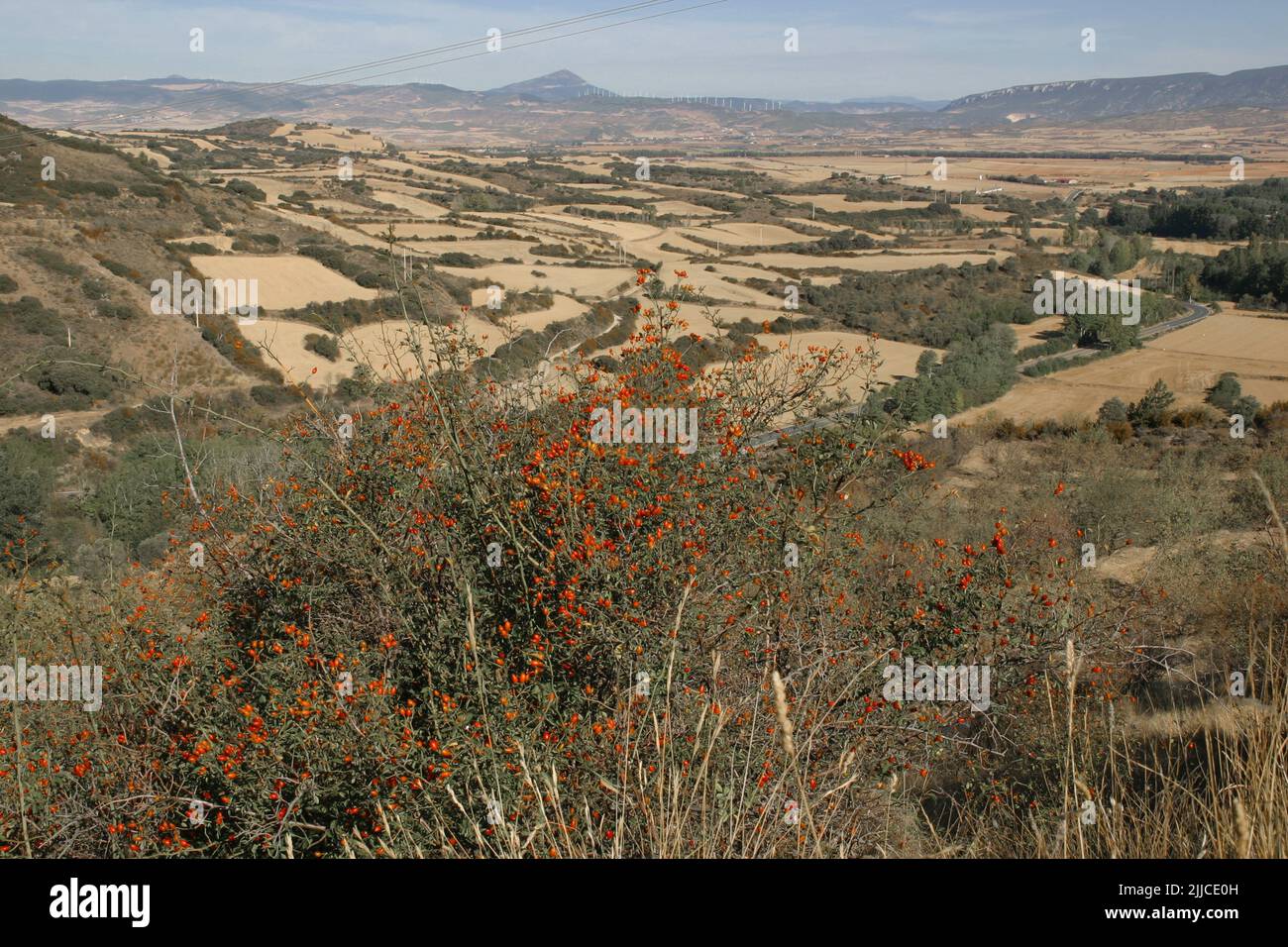 Il vasto e vuoto paesaggio vicino a Sos del Rey Catolico nel nord della Spagna Foto Stock