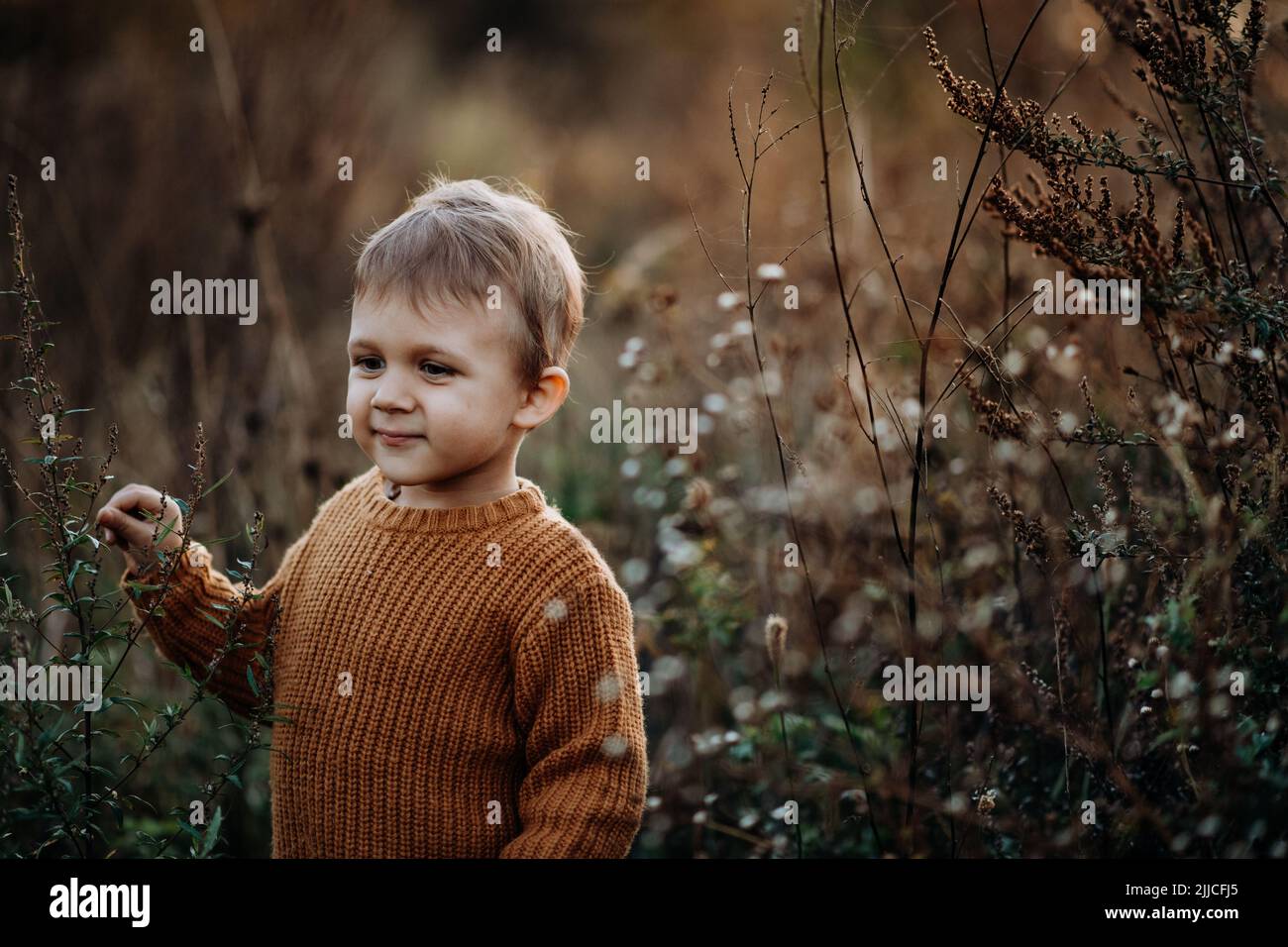 Ritratto di ragazzo carino con maglione a maglia in nautre, concetto autunnale. Foto Stock