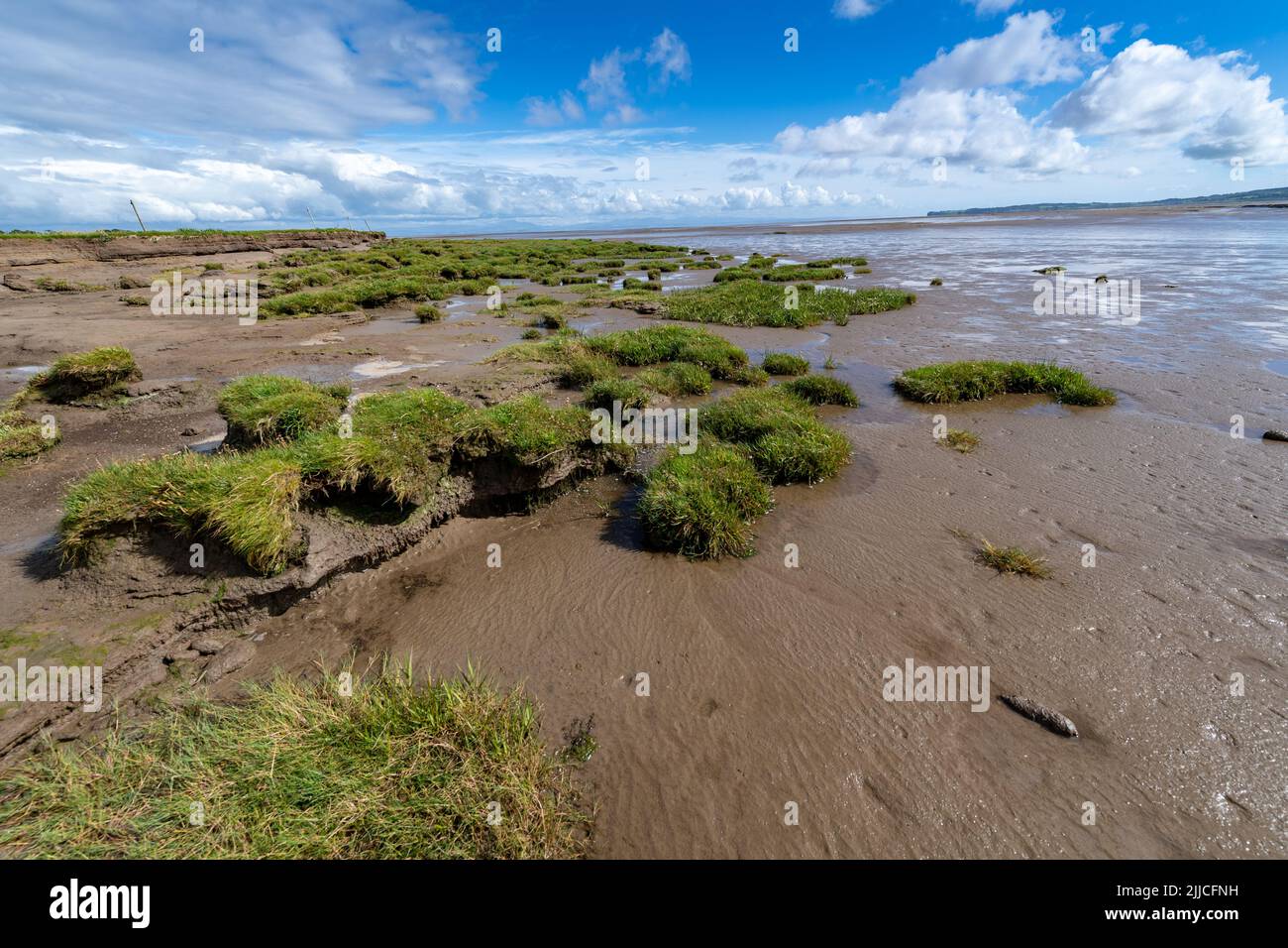 Habitat delle saline vicino alla riserva naturale di Caerlaverock sull'estuario del Solway a Dumfries, Scozia, Regno Unito. Foto Stock