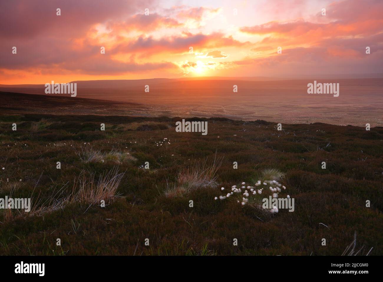 Tramonto sui Penines vicino a Tann Hill, North Yorkshire, Inghilterra, Regno Unito. Foto Stock