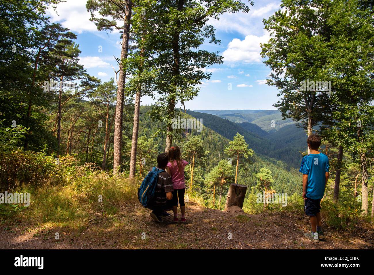 Padre con i suoi figli a piedi nella Foresta Palatinato (modello rilasciato) Foto Stock