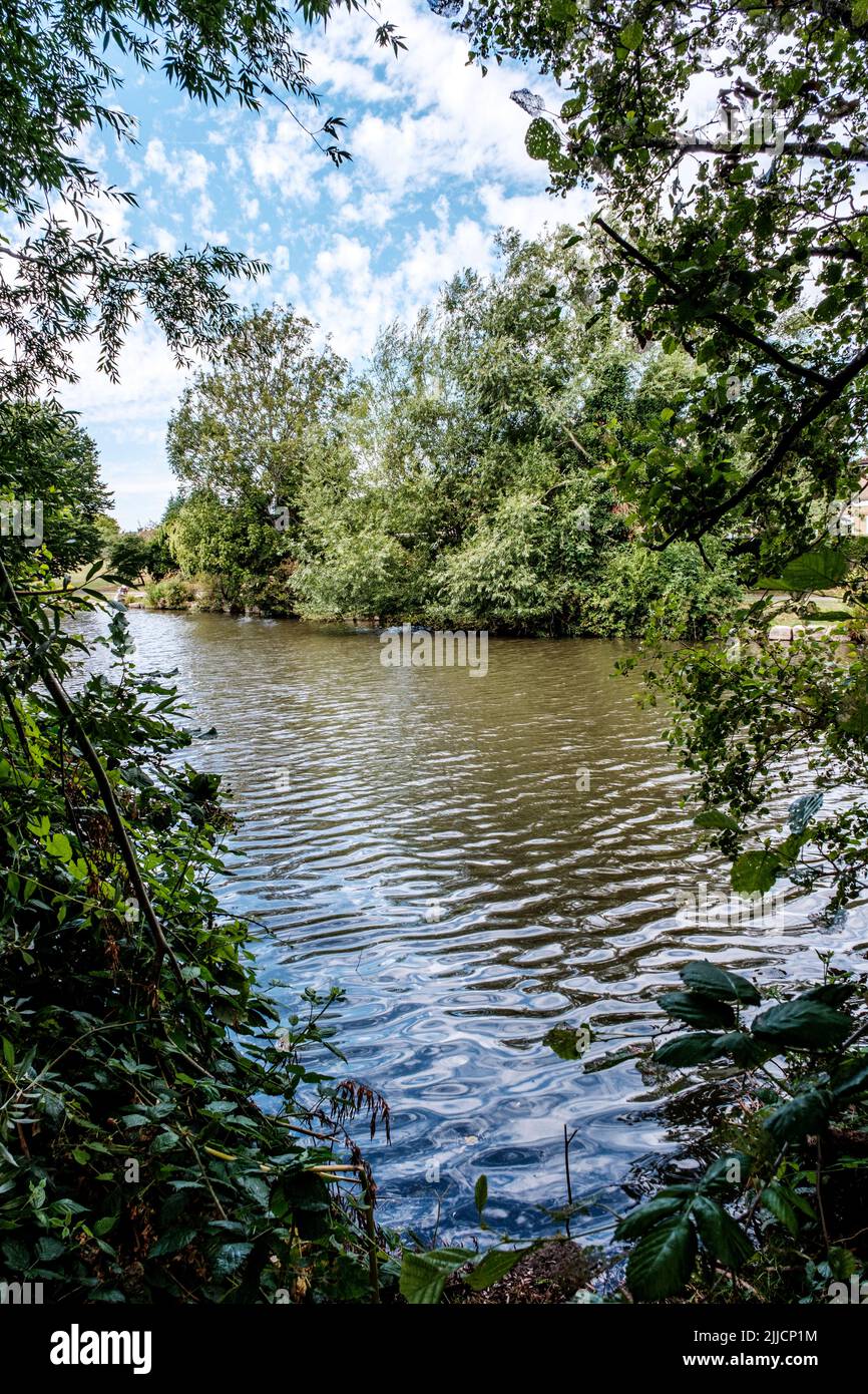 Dorking Surrey Hills Londra UK, luglio 24 2022, Meadowbank Park Lake Dorking Lanscape con acqua riflessione di alberi e natura e non persone Foto Stock