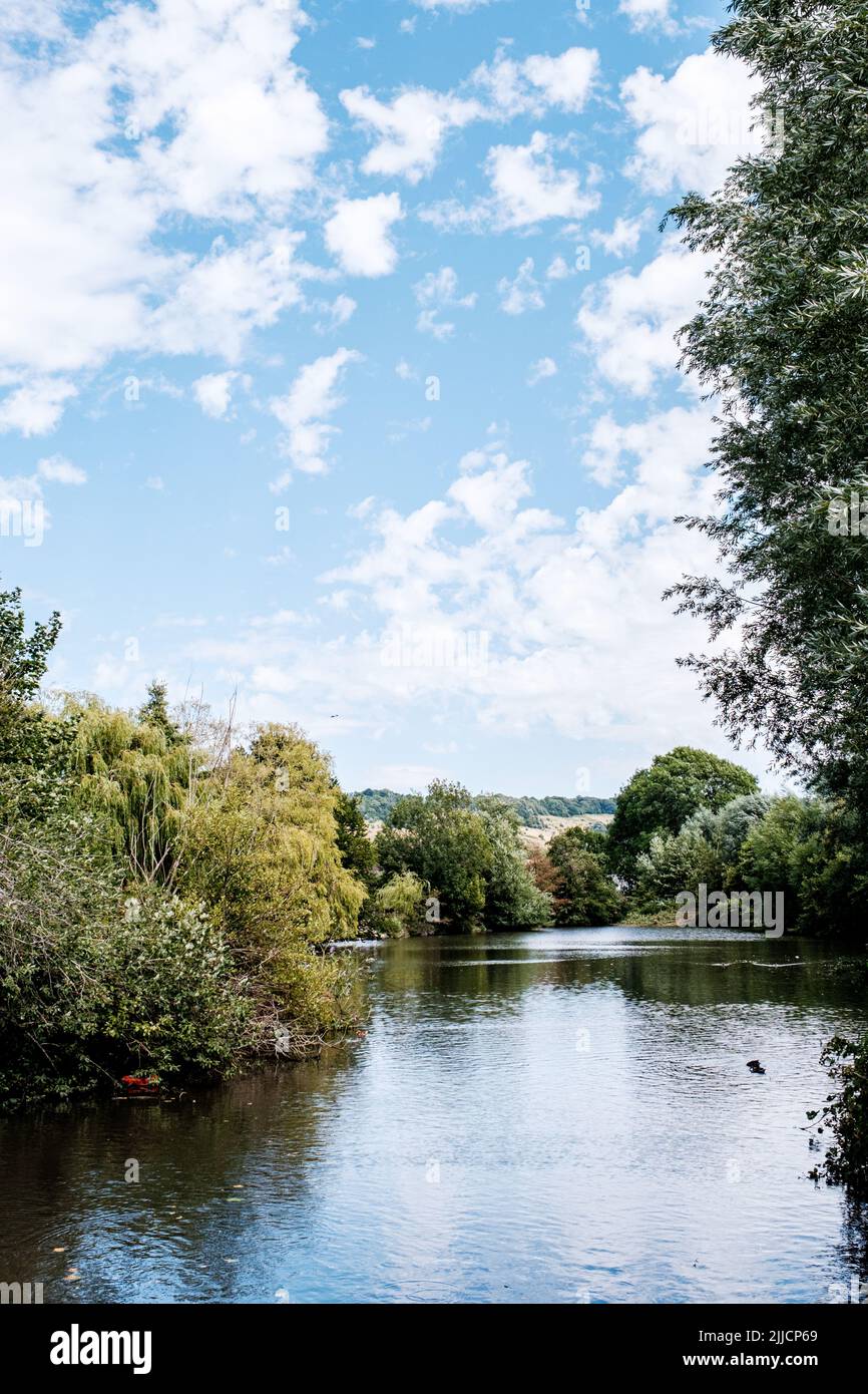 Dorking Surrey Hills Londra UK, luglio 24 2022, Meadowbank Park Lake Dorking Lanscape con acqua riflessione di alberi e natura e non persone Foto Stock