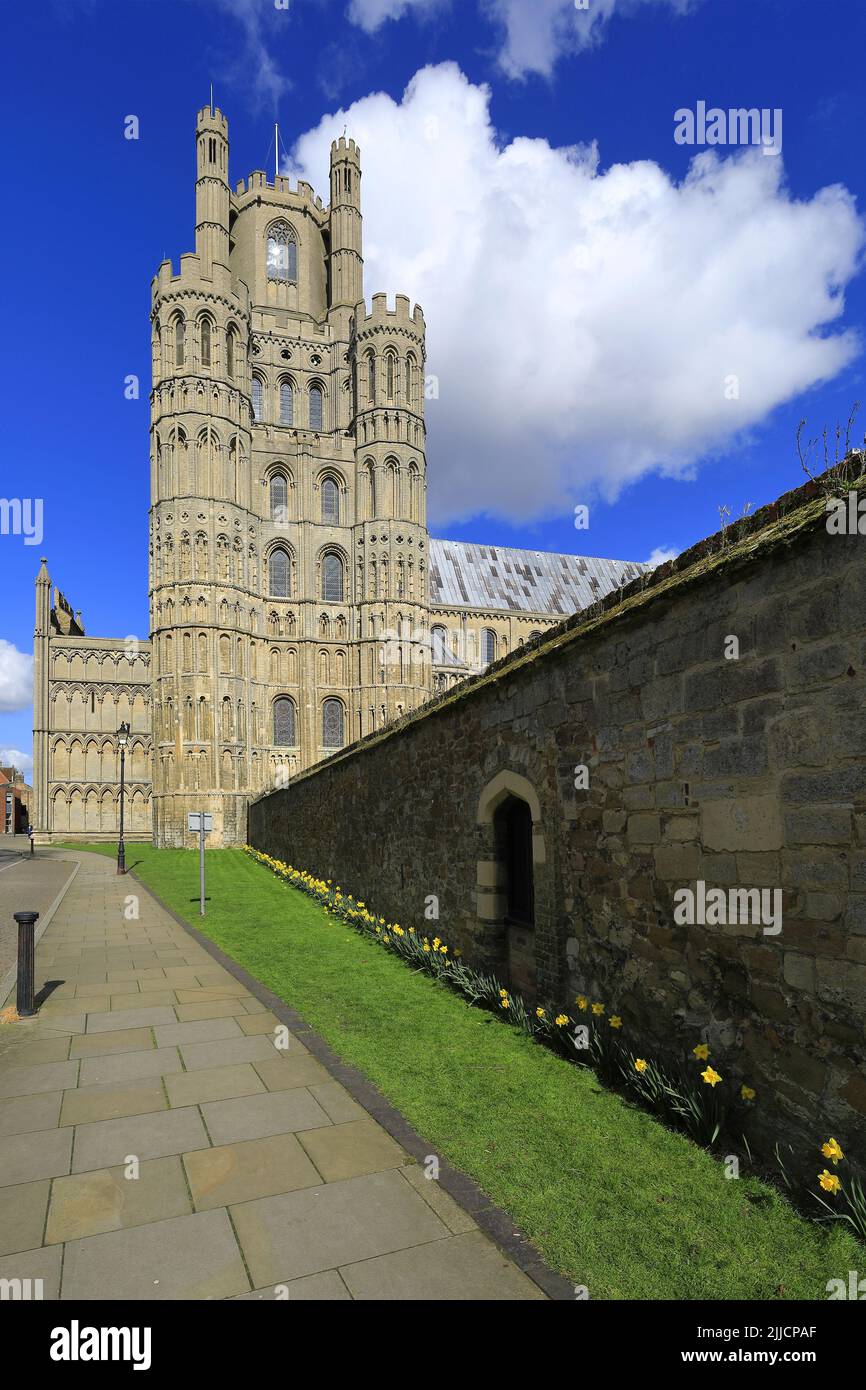 Vista primaverile sulla Cattedrale di Ely; Città di Ely; Cambridgeshire; Inghilterra; Regno Unito Foto Stock