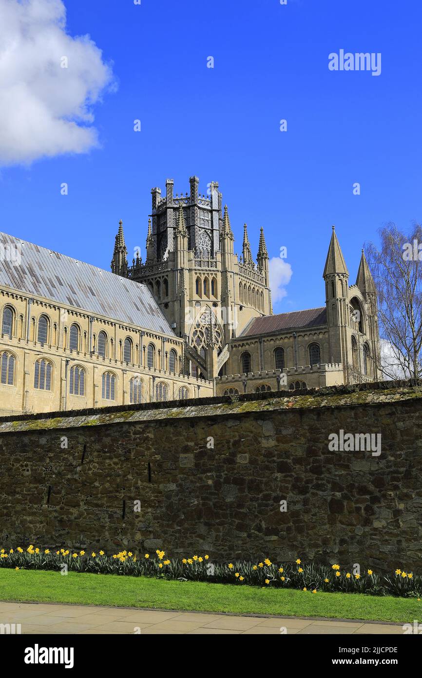 Vista primaverile sulla Cattedrale di Ely; Città di Ely; Cambridgeshire; Inghilterra; Regno Unito Foto Stock