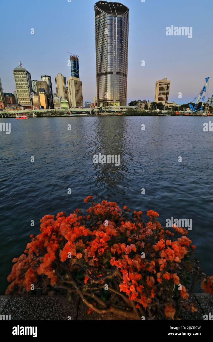 101 grattacieli al tramonto visti dall'altra parte del fiume. Brisbane CBD-Australia. Foto Stock