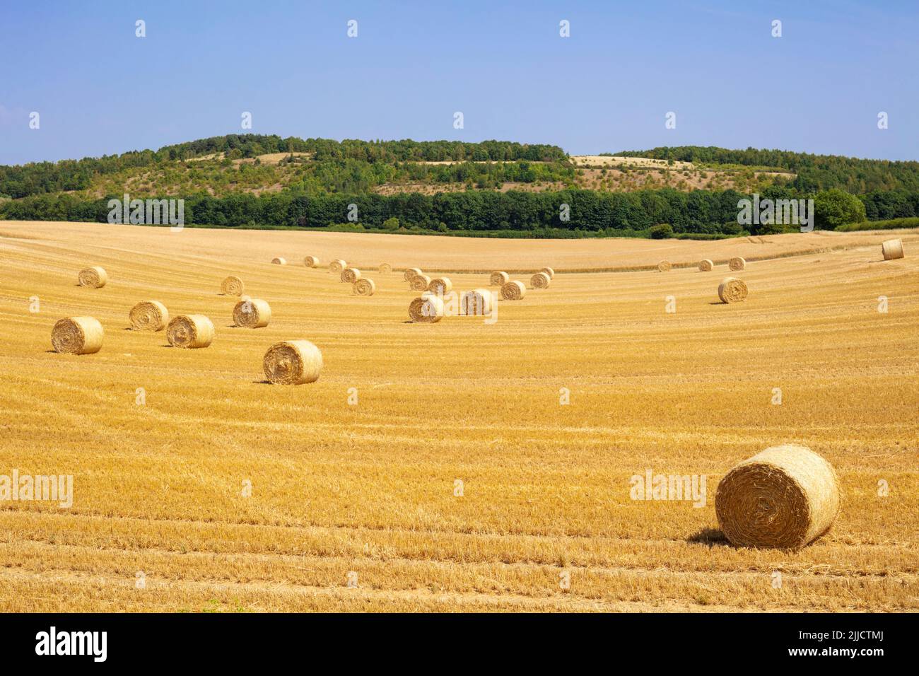 Balle di fieno uk estate - rotoli di balle di paglia - balle di fieno arrotolate in un campo dopo la raccolta South Yorkshire Inghilterra GB Europa Foto Stock