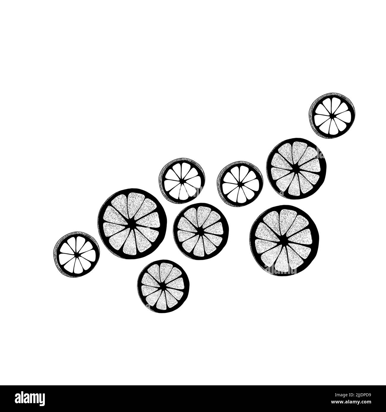 Agrumi, fette di limone disegnate a mano isolate su bianco. Vista dall'alto. Motivo di sfondo agrumi. Per il tuo web design. Foto Stock