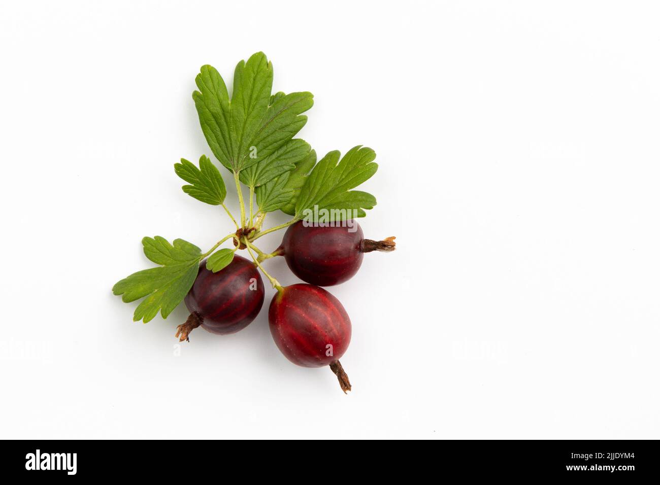 uva fresca rossa con foglie isolate su sfondo bianco, vista dall'alto Foto Stock