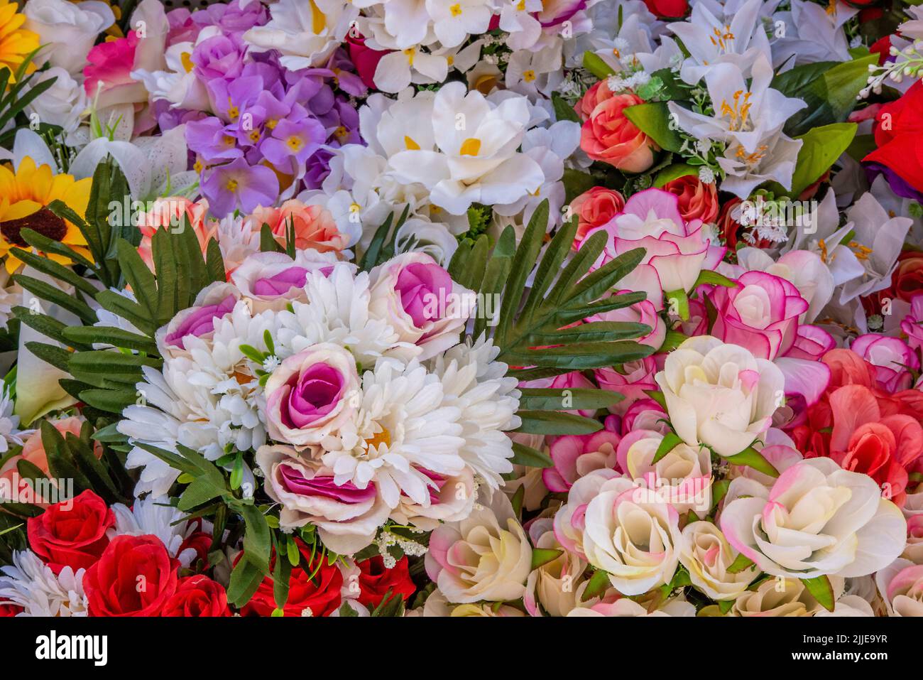 bella selezione di fiori, bouquet di fiori dai colori vivaci, primo piano di vivaci mostre floreali colorate, fiori in mostra presso un fioraio. Foto Stock
