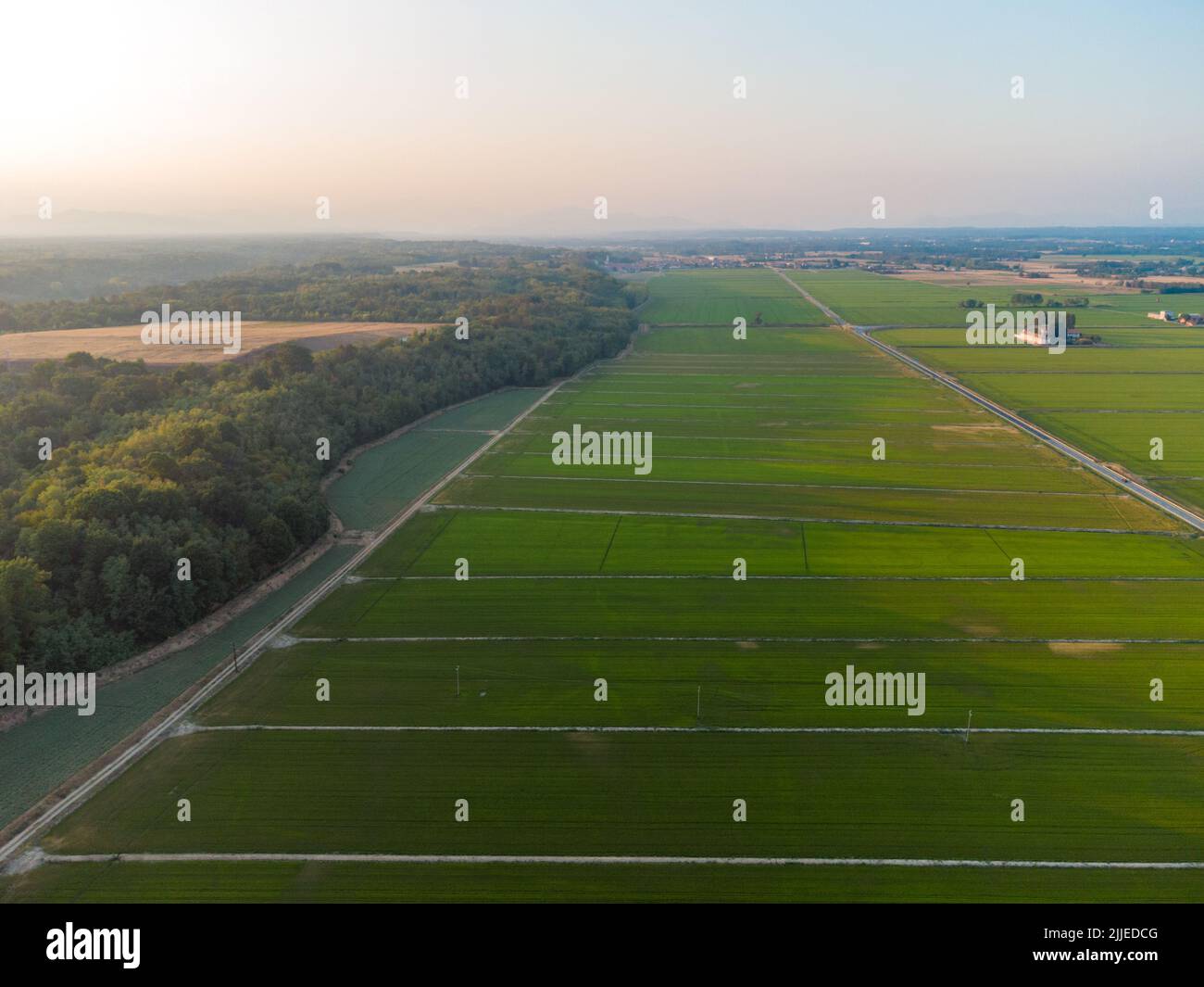 Paesaggio agricolo in pianura padana in Italia al tramonto Foto Stock