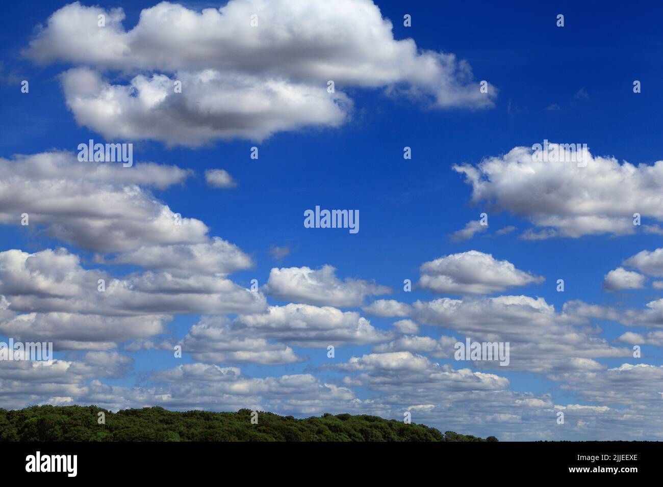 Nuvole bianche, cumulo, cielo blu, nuvola, cieli, Formazione, meteorologia, Inghilterra, Regno Unito Foto Stock