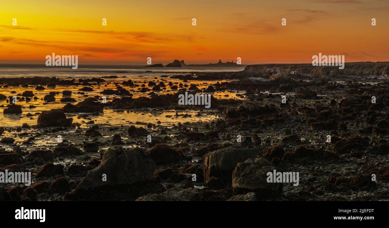 Scenografica costa della California del Pacifico vicino a Cambria durante il tramonto rossastro. Stazione della luce di Piedras Blancas a distanza. Stati Uniti d'America. Foto Stock