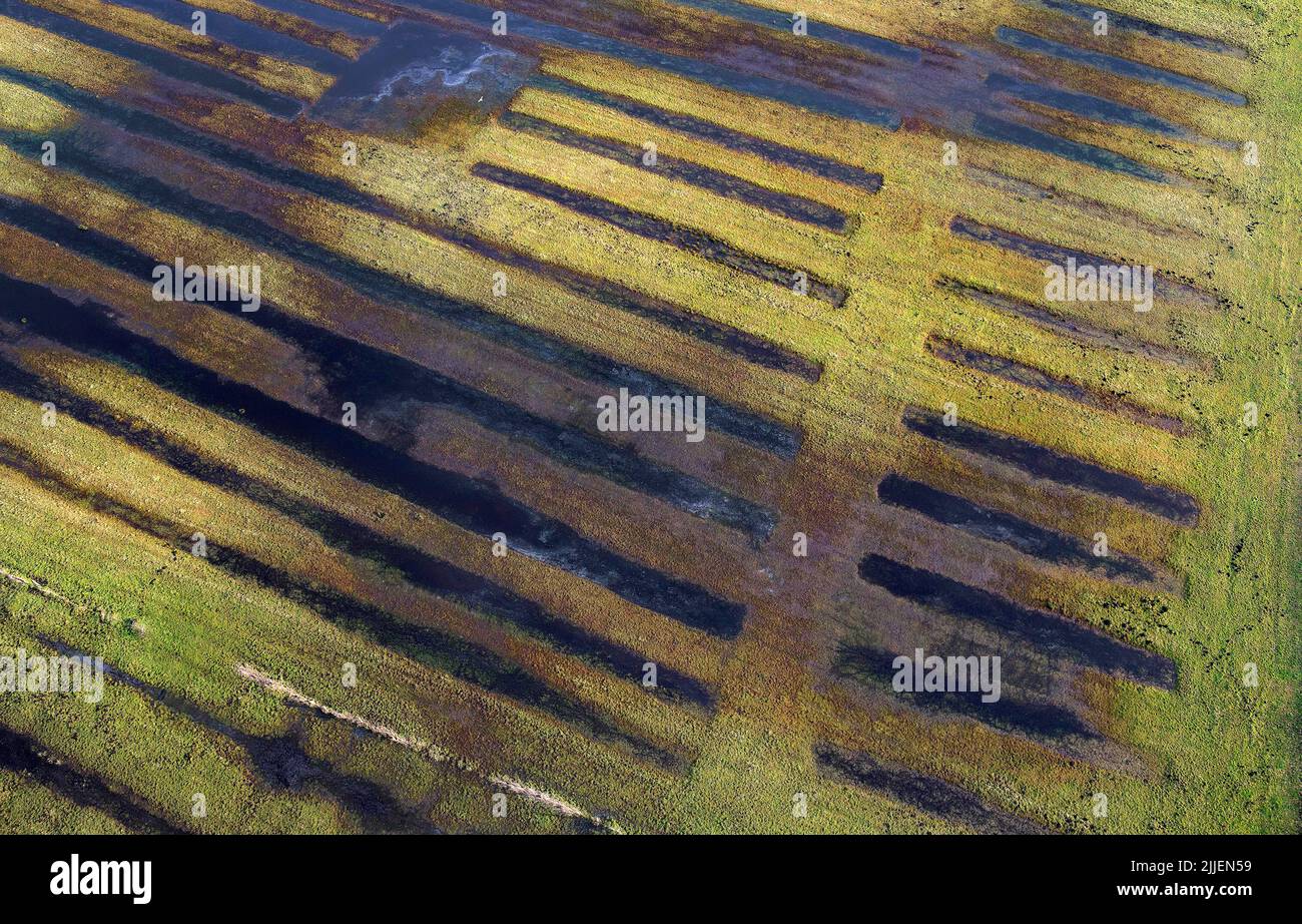 paludi e fossati, vista aerea, Belgio, Fiandre, Meetkerke Foto Stock