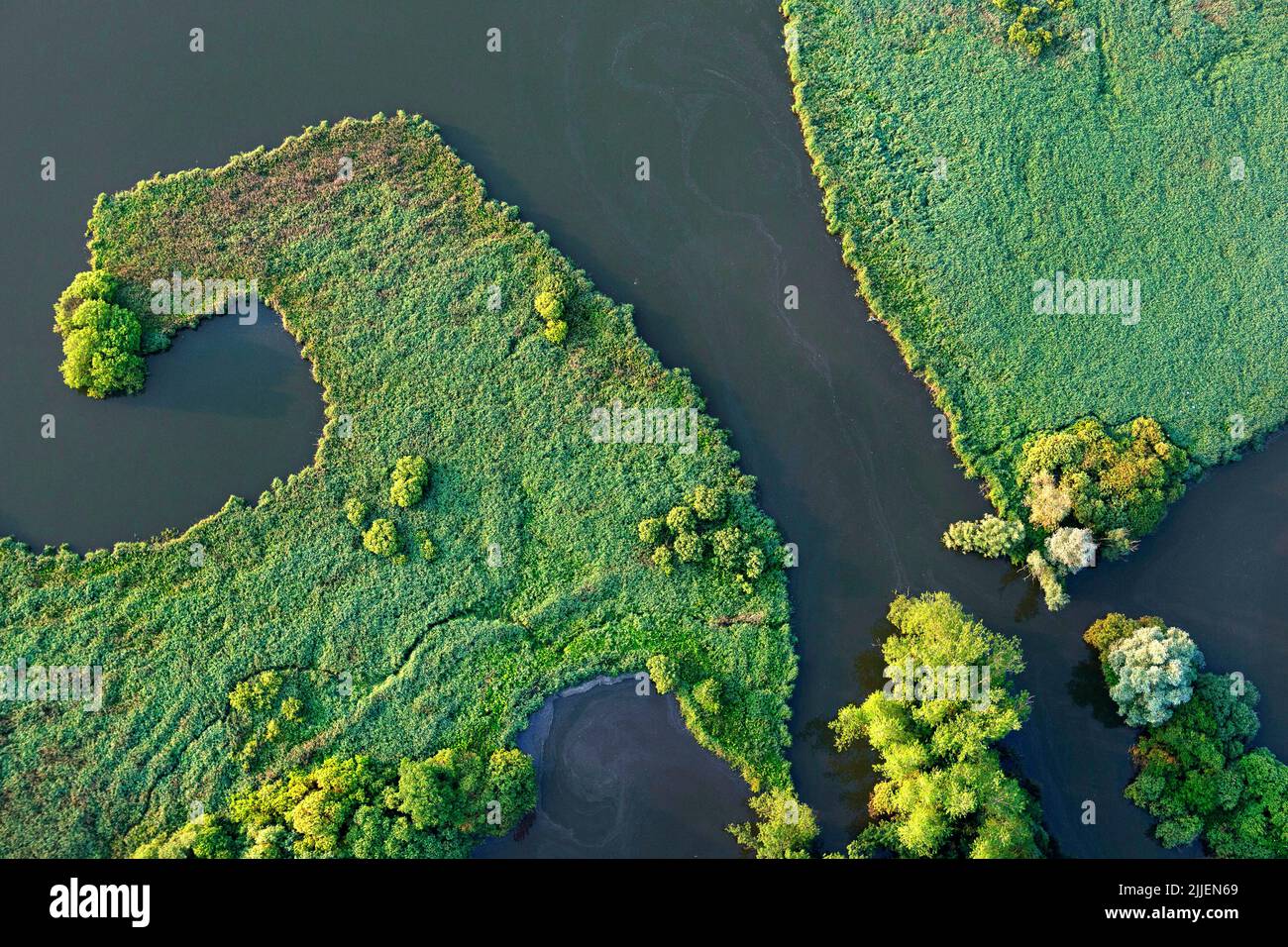 Paesaggio del fiume YSEL, vista aerea, Belgio, Fiandre Foto Stock