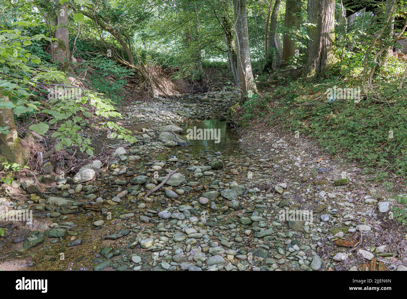 Cambiamento climatico, sbandierato di un piccolo torrente primaverile già seccato in maggio, Germania, Baviera, Isental Foto Stock