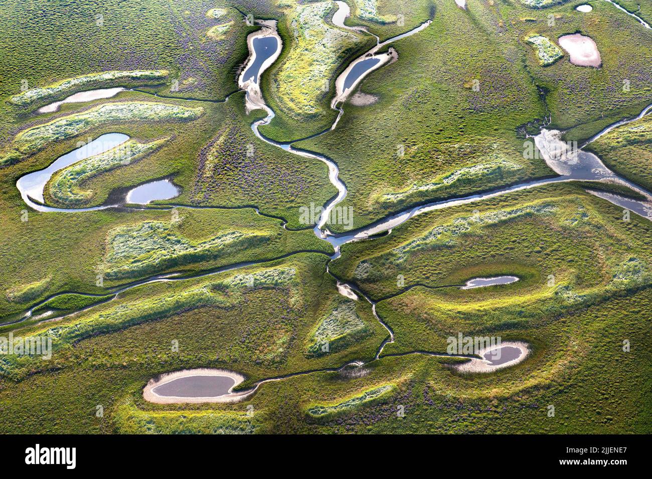 Het Zwin, intaccato vecchio fiume foce nel Mare del Nord, vista aerea, Belgio, Fiandre, Knokke-Heist Foto Stock