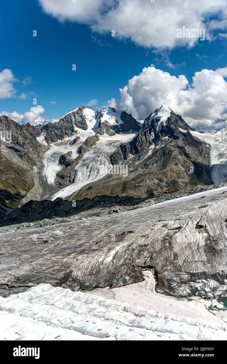 Piz Roseg, il Ghiacciaio del Sella e Piz Bernina visto dalla stazione di montagna di Piz Corvatsch, Svizzera, Grigioni, Oberengadin Foto Stock