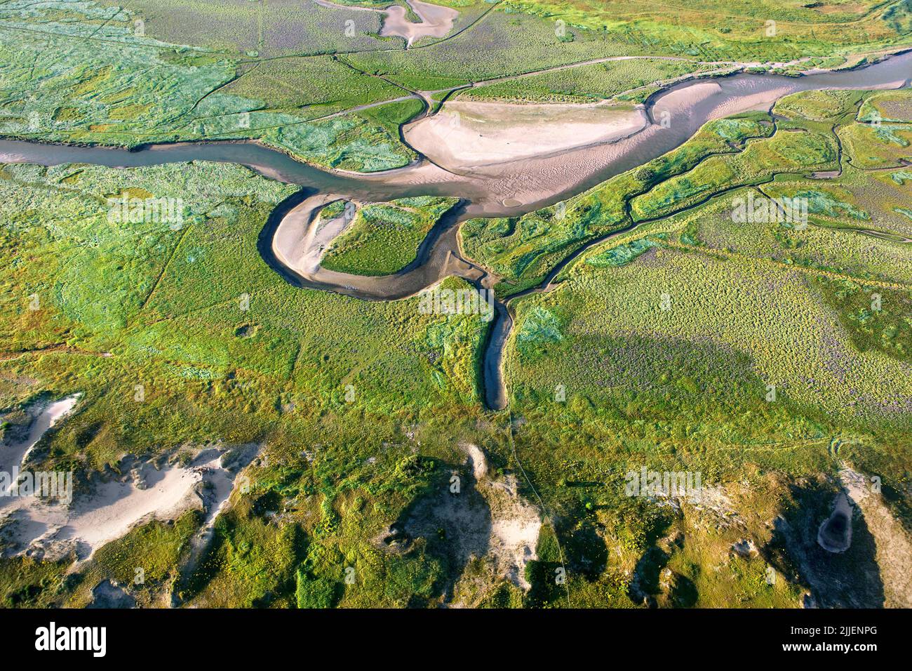 Het Zwin, intaccato vecchio fiume foce nel Mare del Nord, vista aerea, Belgio, Fiandre, Knokke-Heist Foto Stock