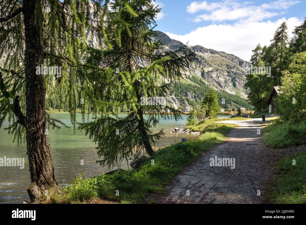 Paesaggio estivo sul lago Sils, Svizzera, Grigioni, Oberengadin Foto Stock