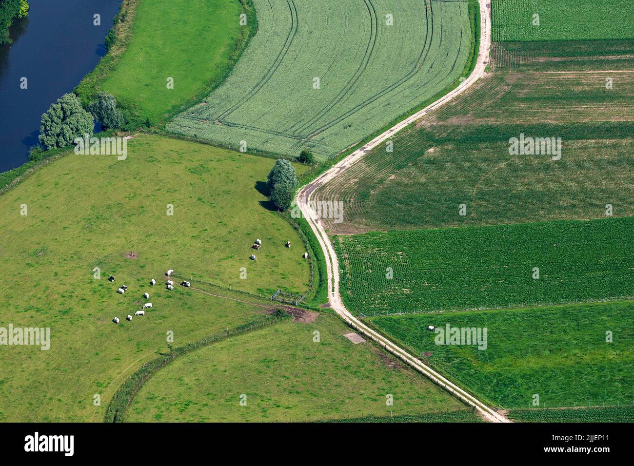 Paesaggio del campo sul fiume Yser, vista aerea, Belgio, Fiandre Foto Stock