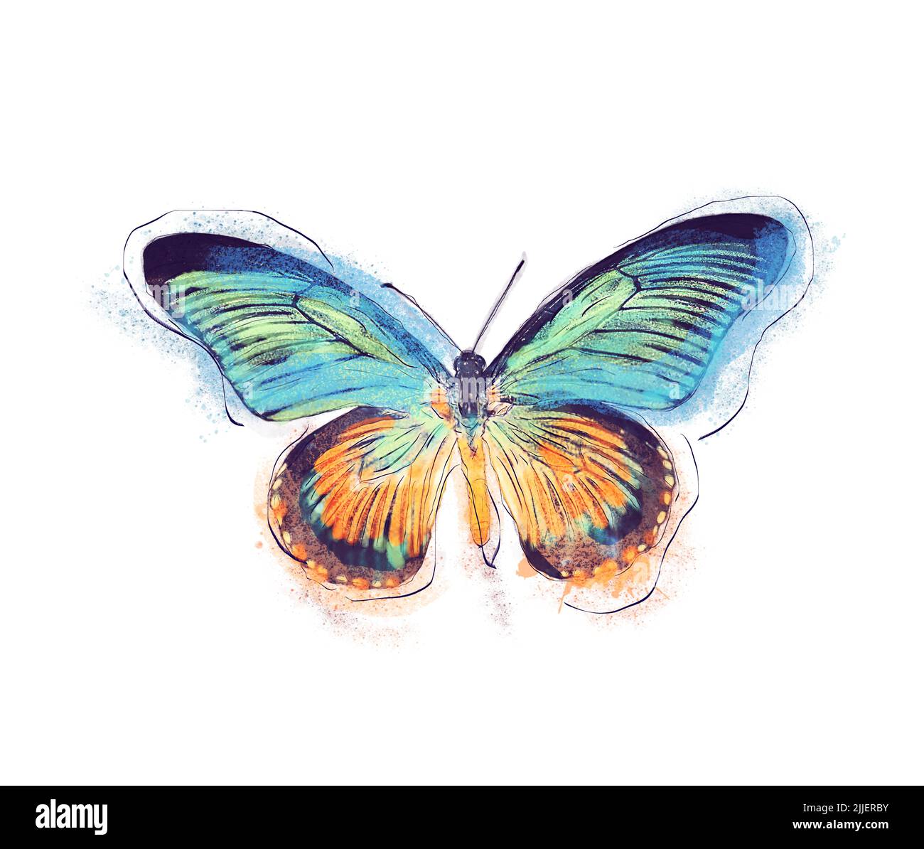 Acquerello Pittura digitale di farfalla tropicale su sfondo bianco Foto Stock