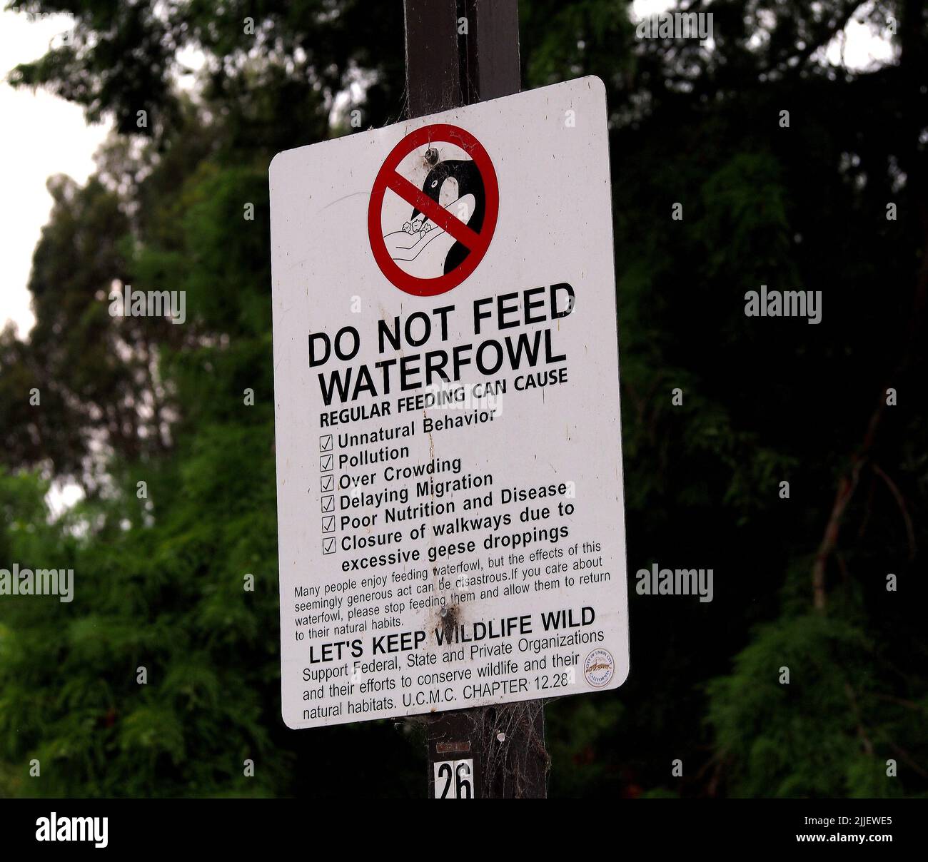 Non dare da mangiare all'insegna degli uccelli acquatici nel William Cann Civic Center di Union City, California Foto Stock