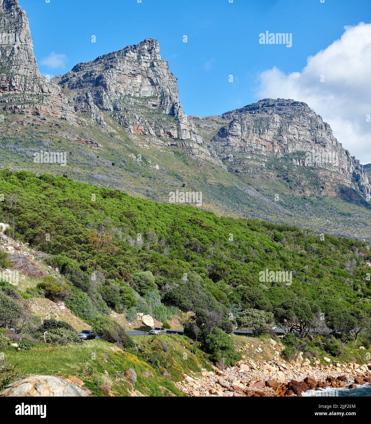 Dodici Apostoli a Table Mountain a Città del Capo su uno sfondo di cielo blu nuvoloso. Vista panoramica del paesaggio di lussureggianti piante verdi e alberi in crescita Foto Stock