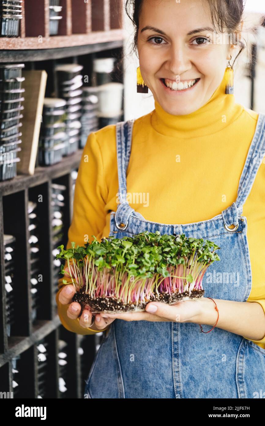 Donna in scatola con Microgreen, piccola azienda agricola privata interna verticale. Sana vitamina vegetariana fresco cibo prodotto a casa. Microgreens Foto Stock