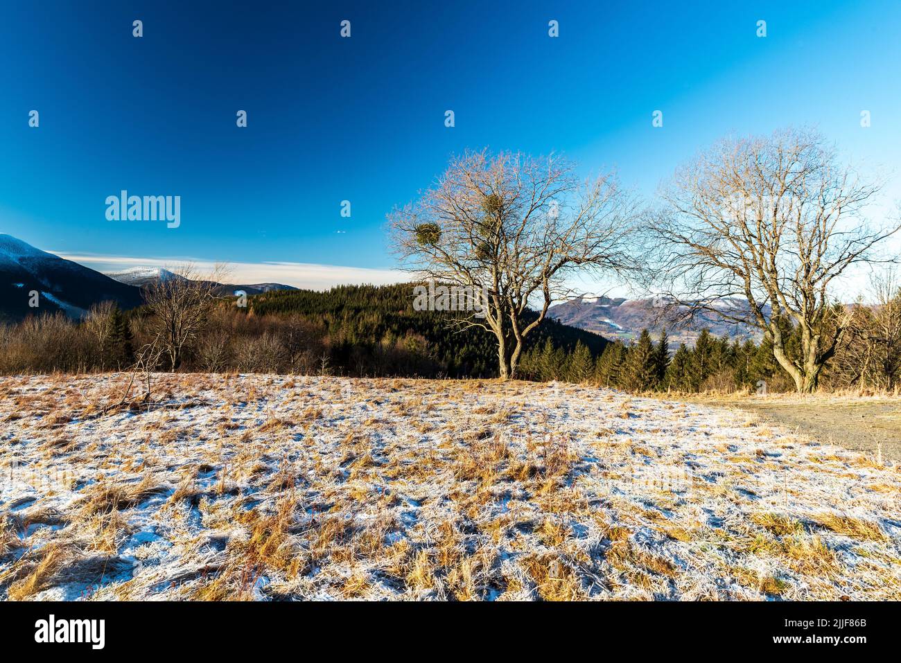 Mattina d'inverno sulla collina di Lysa Hora Butoranka con Knehyne, Radhost e Ondrejnik cresta montagna in Moravskoslezske Beskydy montagne in ceco REP Foto Stock
