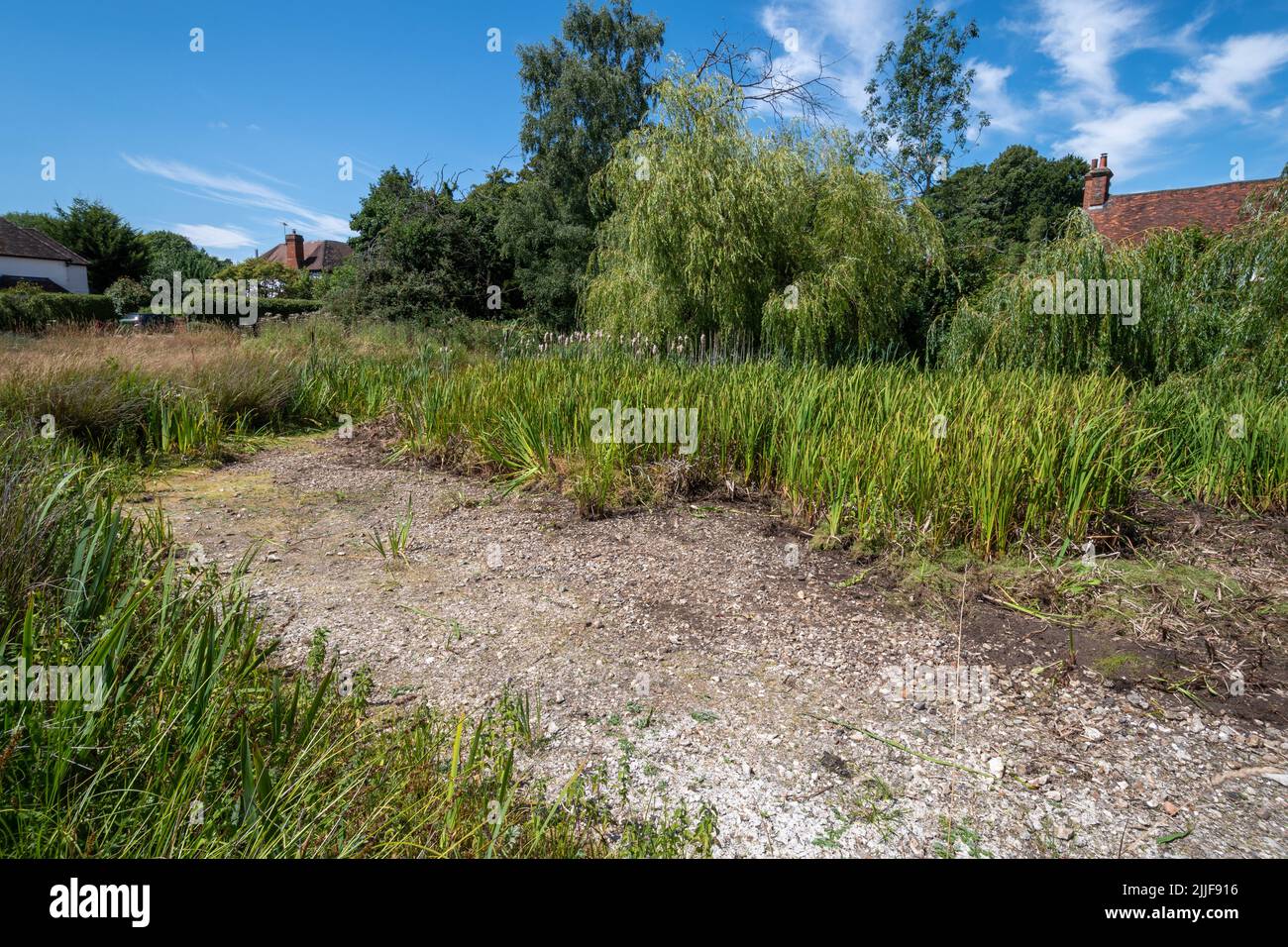 Un laghetto di villaggio secco durante l'estate 2022 caldo e siccità, conseguenze del cambiamento climatico. Newnham Village Green, Hampshire, Inghilterra, Regno Unito Foto Stock