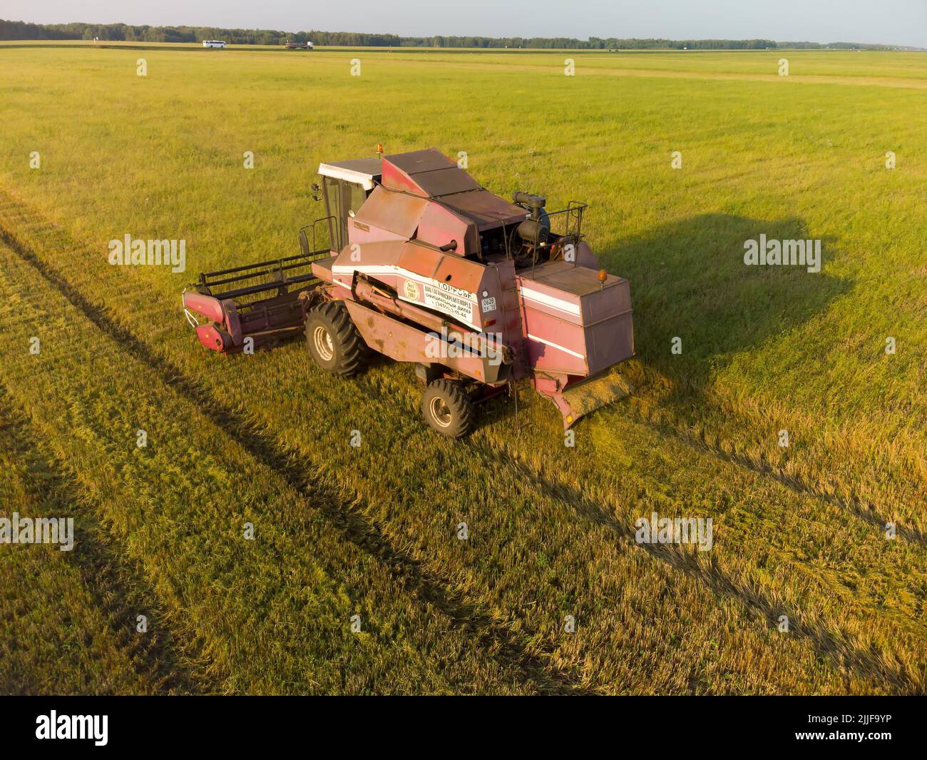 Mietitrebbia che lavora su un campo agricolo di grandi dimensioni Foto Stock