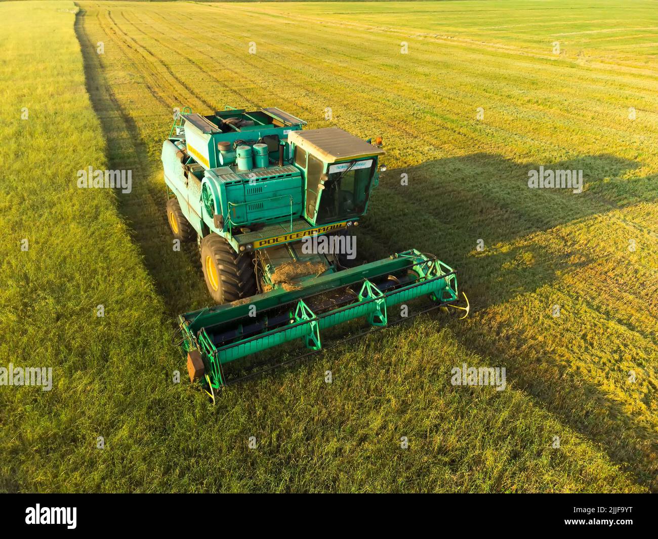 Mietitrebbia che lavora su un campo agricolo di grandi dimensioni Foto Stock