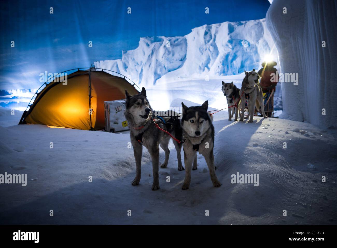 Bremerhaven, Germania. 26th luglio 2022. I cani da slitta del cane gestore Kranz dalla fattoria Husky Ridderade prendere un raffreddamento al Klimahaus Bremerhaven all'inizio del 'dog days', statisticamente i giorni più caldi dell'anno. Con l'azione per la mostra speciale "The Last Ice", che inizia il 28.07.2022, il Klimahaus vuole attirare l'attenzione sulle drammaticamente mutevoli condizioni climatiche in gran parte del mondo. Credit: Sina Schuldt/dpa/Alamy Live News Foto Stock