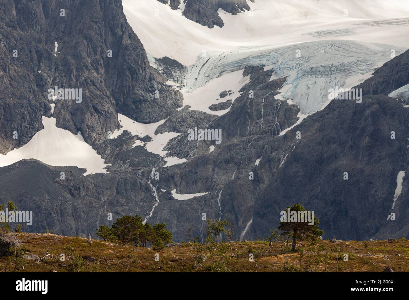 Ghiacciaio nelle Alpi di Lyngen. Grande ghiacciaio ai piedi di una montagna con un prato in primo piano e un grande albero. Foto Stock