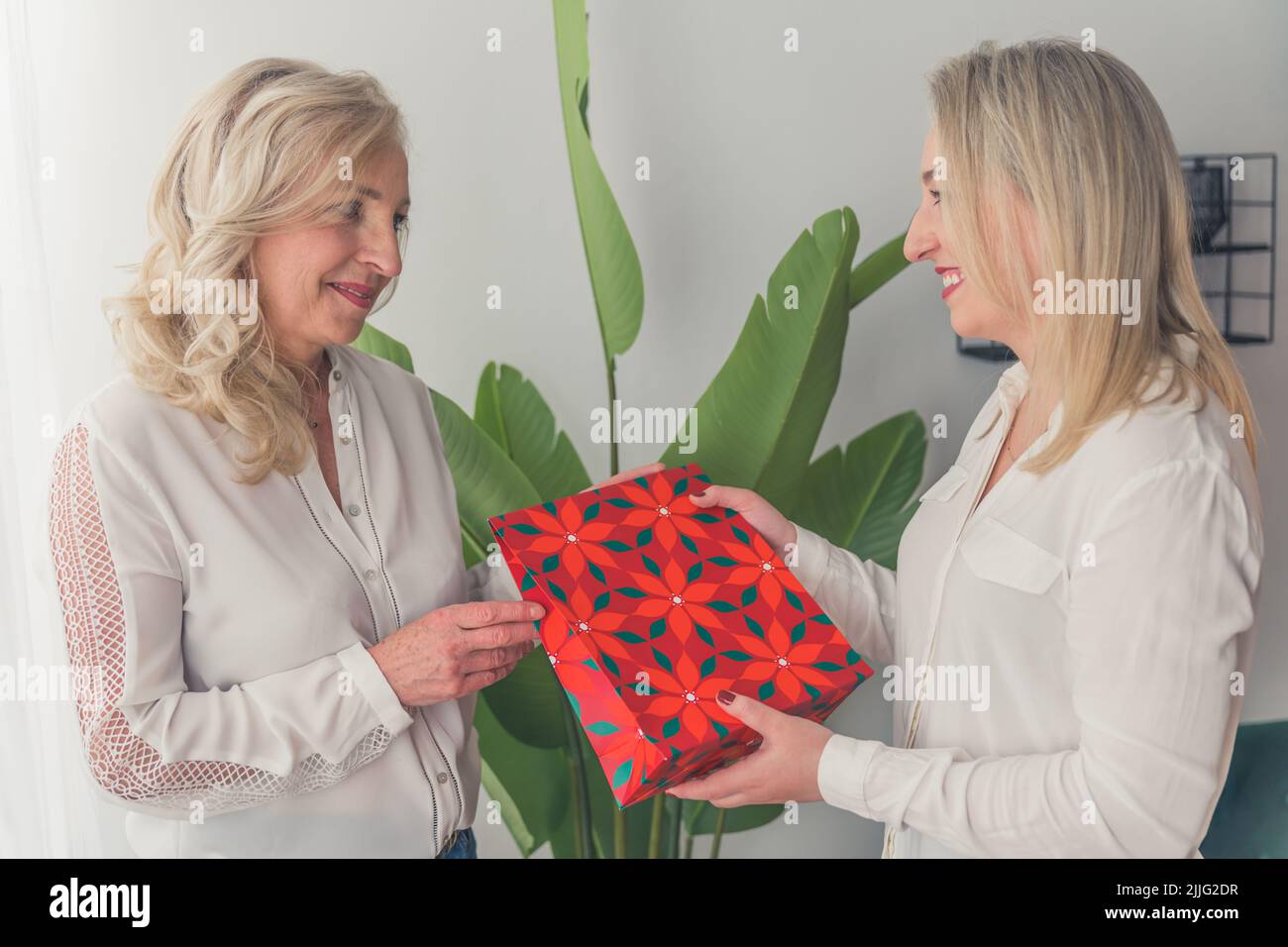 Ho qualcosa per voi - la donna bionda che dà un regalo al suo amico medio colpo in casa. Foto di alta qualità Foto Stock