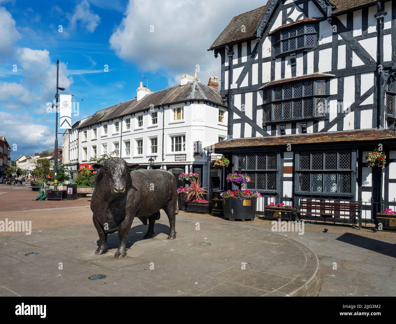 La scultura del toro di Hereford e il Museo della Casa Bianca e Nera sulla città alta di Hereford Herefordshire Inghilterra Foto Stock