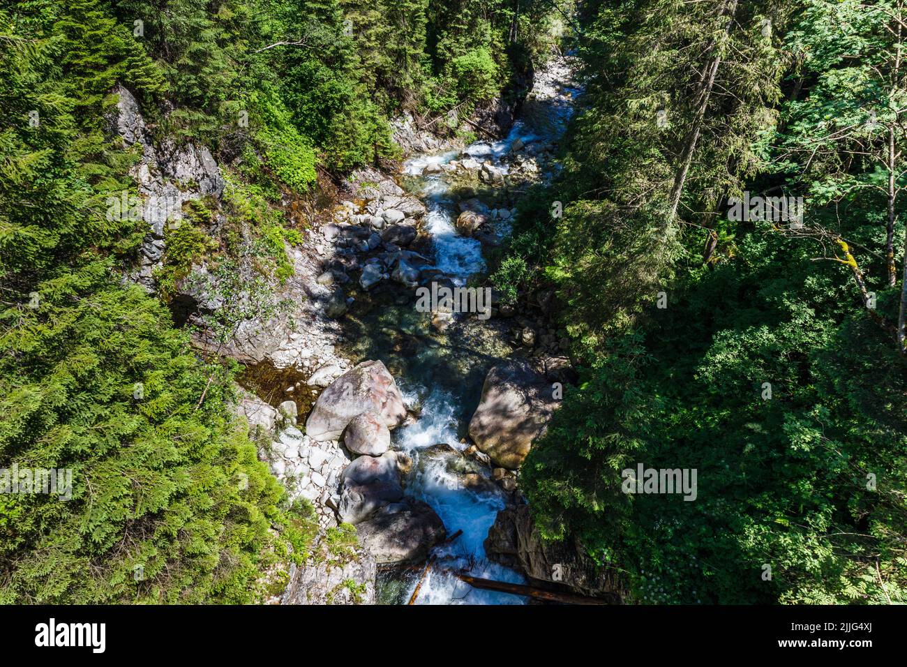 Cascata Mickiewicza al Parco Nazionale Tatra Foto Stock