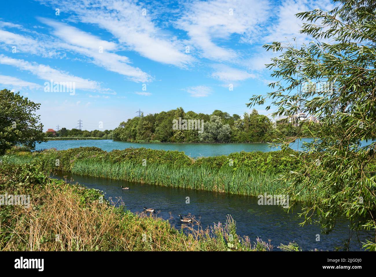 Walthamstow Wetlands e il Coppermill Stream in estate, Walthamstow, Londra, Sud-Est Inghilterra Foto Stock