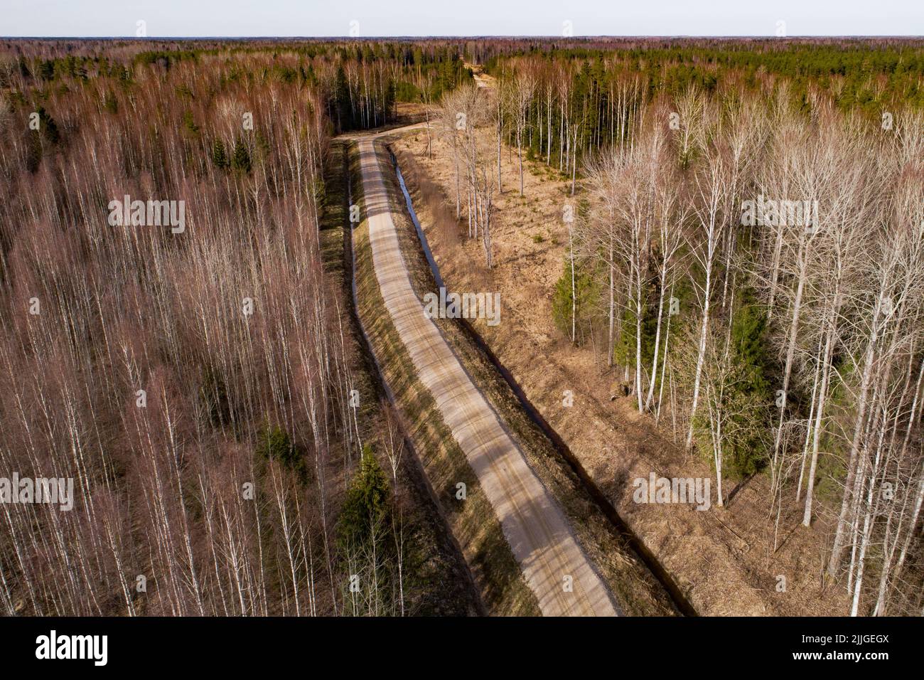 Una strada di ghiaia di recente costruzione attraverso un bosco primaverile in Estonia, Nord Europa Foto Stock