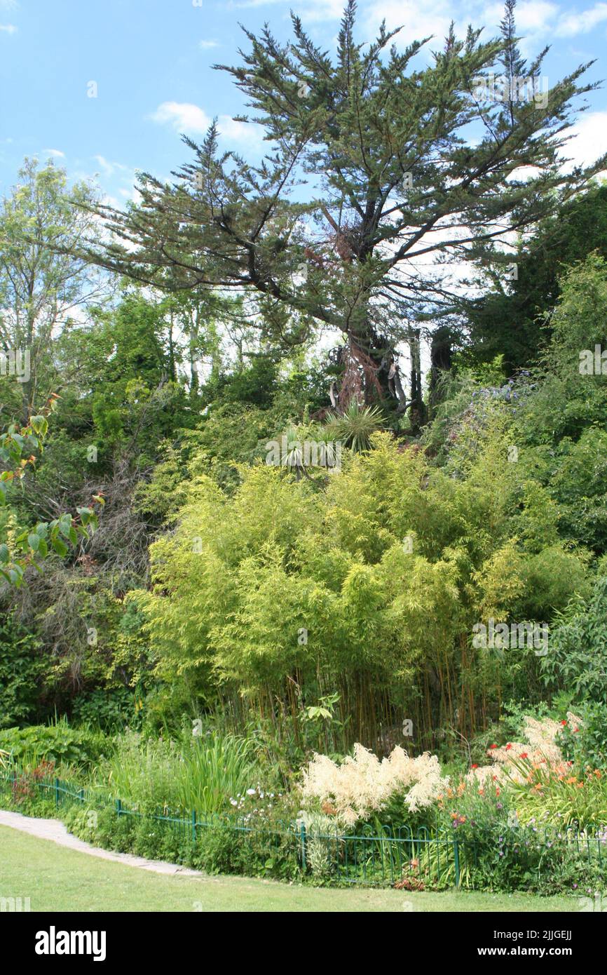 Highjdown Gardens, West Sussex Foto Stock