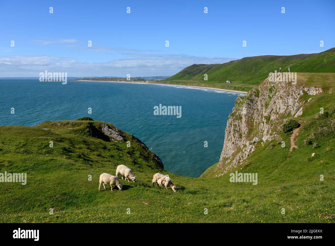 Rhossili Bay, Una splendida spiaggia sulla penisola di Gower Swansea, Galles del Sud Foto Stock