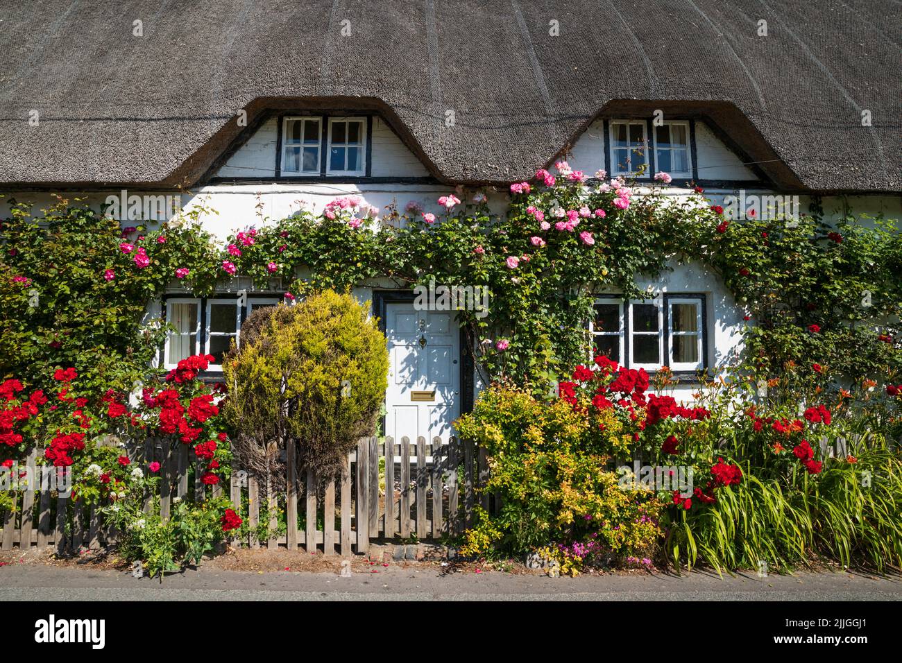 Cottage colorato di paglia coperto con rose vista da strada, Wherwell, Test Valley, Hampshire, Inghilterra, Regno Unito, Europa Foto Stock