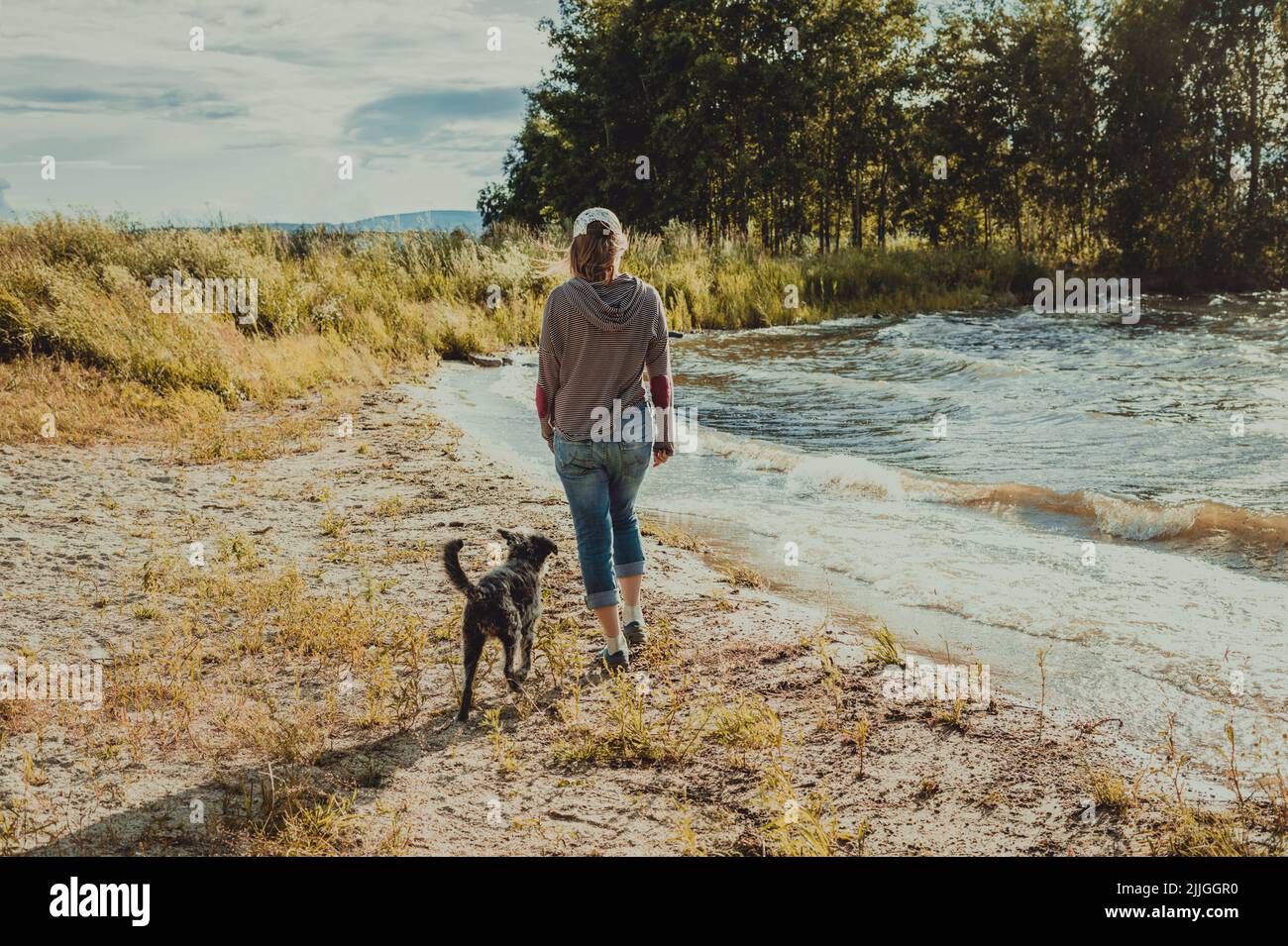 vista posteriore della giovane donna che cammina lungo la riva del lago con cani di razza mista viaggio ed escursioni con animali domestici Foto Stock