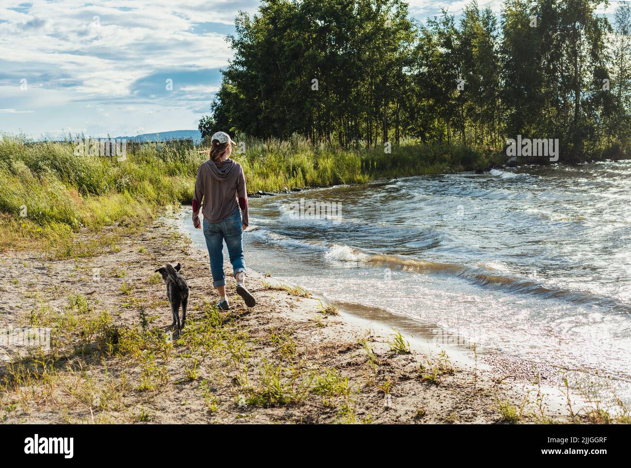 vista posteriore della giovane donna che cammina lungo la riva del lago con cani di razza mista viaggio ed escursioni con animali domestici Foto Stock